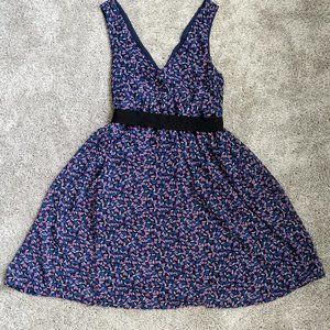 NWT American Eagle Dress Hearts Sleeveless V-Neck, Size 4